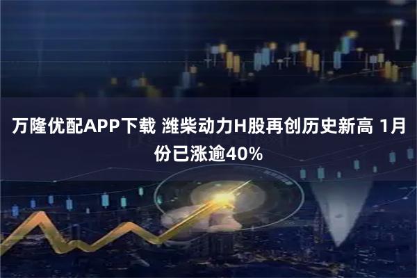 万隆优配APP下载 潍柴动力H股再创历史新高 1月份已涨逾40%